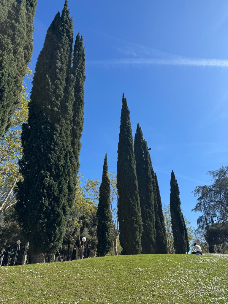Barcelona's Best Parks