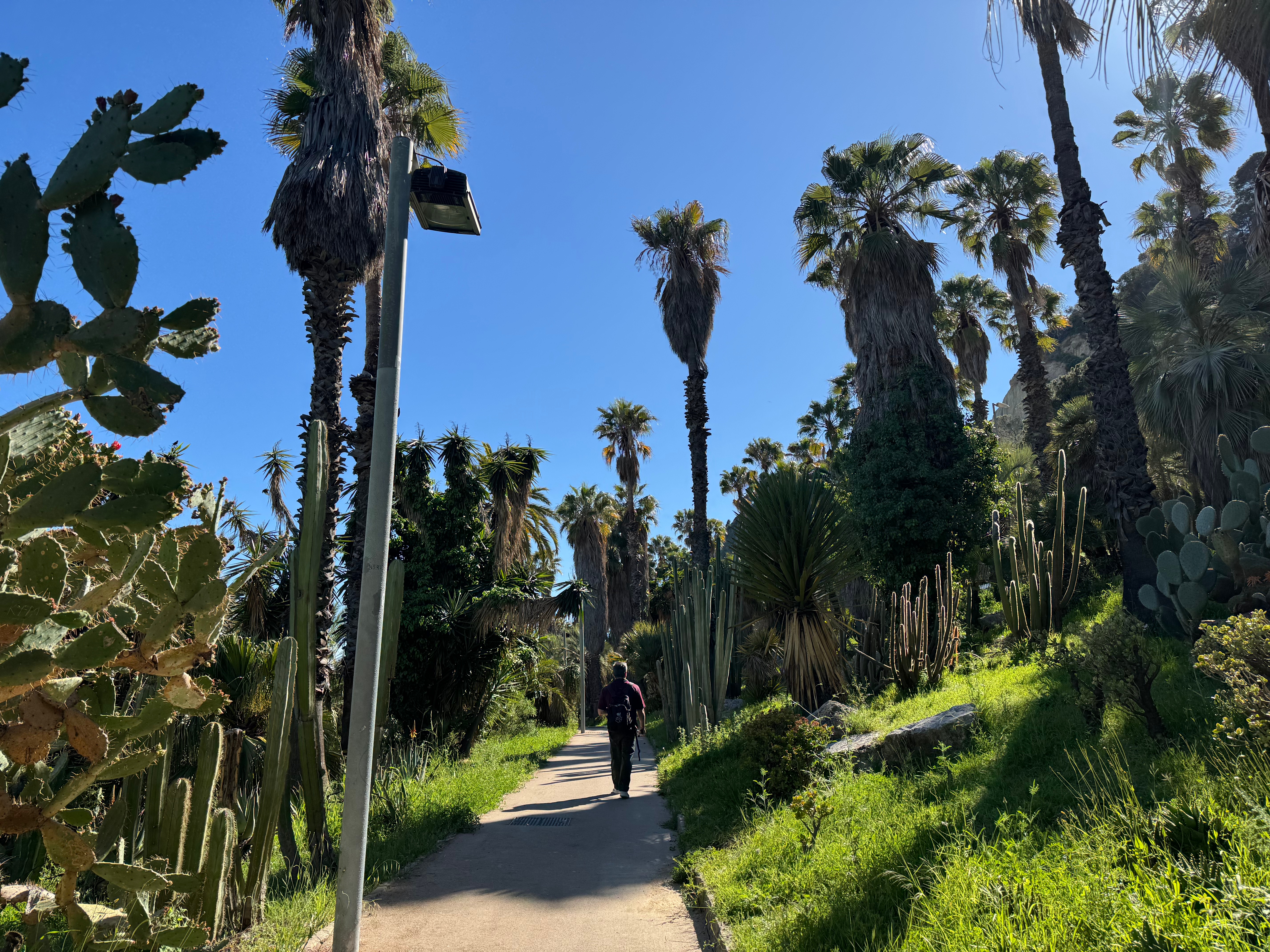Finding the Quiet Barcelona during Peak Season: The Best Parks and Hidden Spots