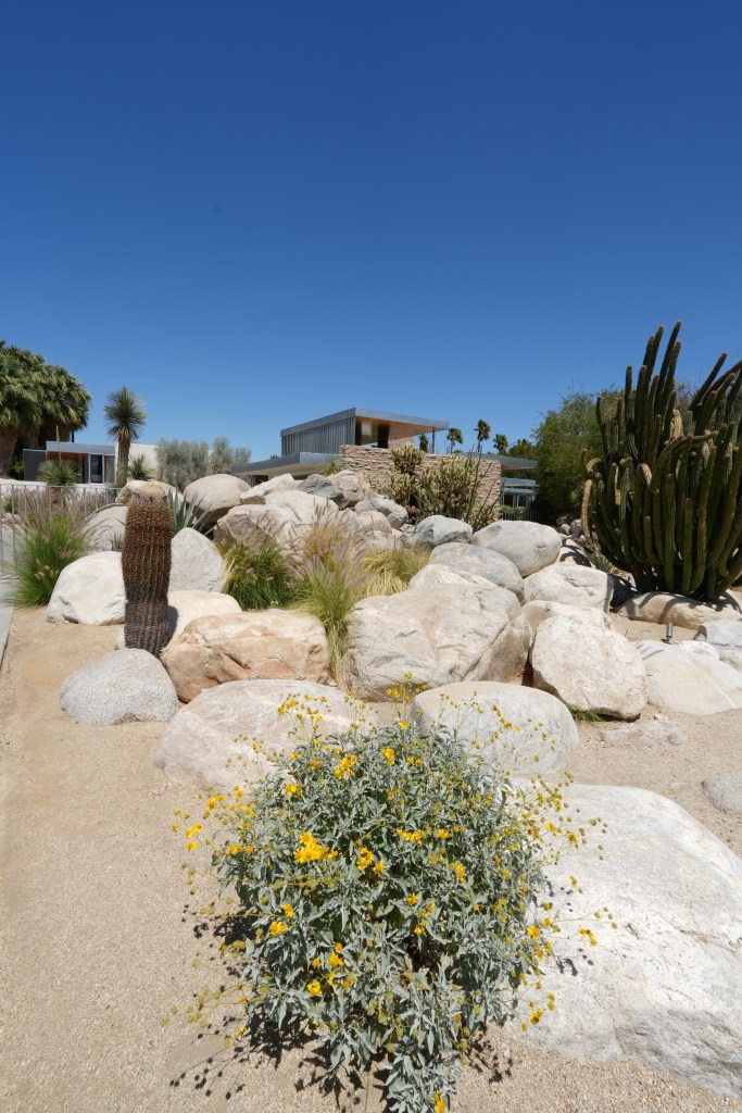 Palm Springs Architecture Tour